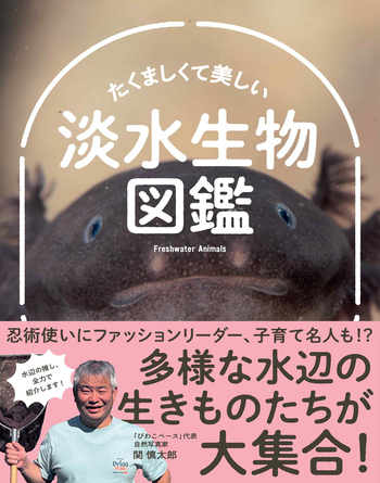 たくましくて美しい 淡水生物図鑑 - 創元社