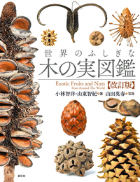【中古】 ある発明のはなし せんいが社会をかえる/国土社/岩城正夫 中古】 ある発明のはなし せんいが社会をかえる (科学入門名著