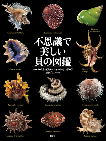 THE SHELL 貝の図鑑 不思議で美しい貝の図鑑 - 創元社