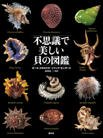 THE SHELL 貝の図鑑 不思議で美しい貝の図鑑 - 創元社