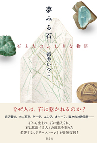 風景大理石 コタム・マーブル / カイヨワ 石が書く パエジナ