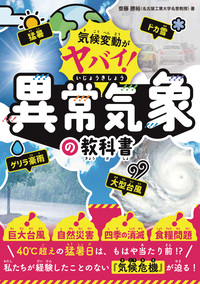 総合化学―ここがポイント 齋藤 勝裕 新総合化学―ここがポイント | 齋藤勝裕 |本 | 通販 | Amazon