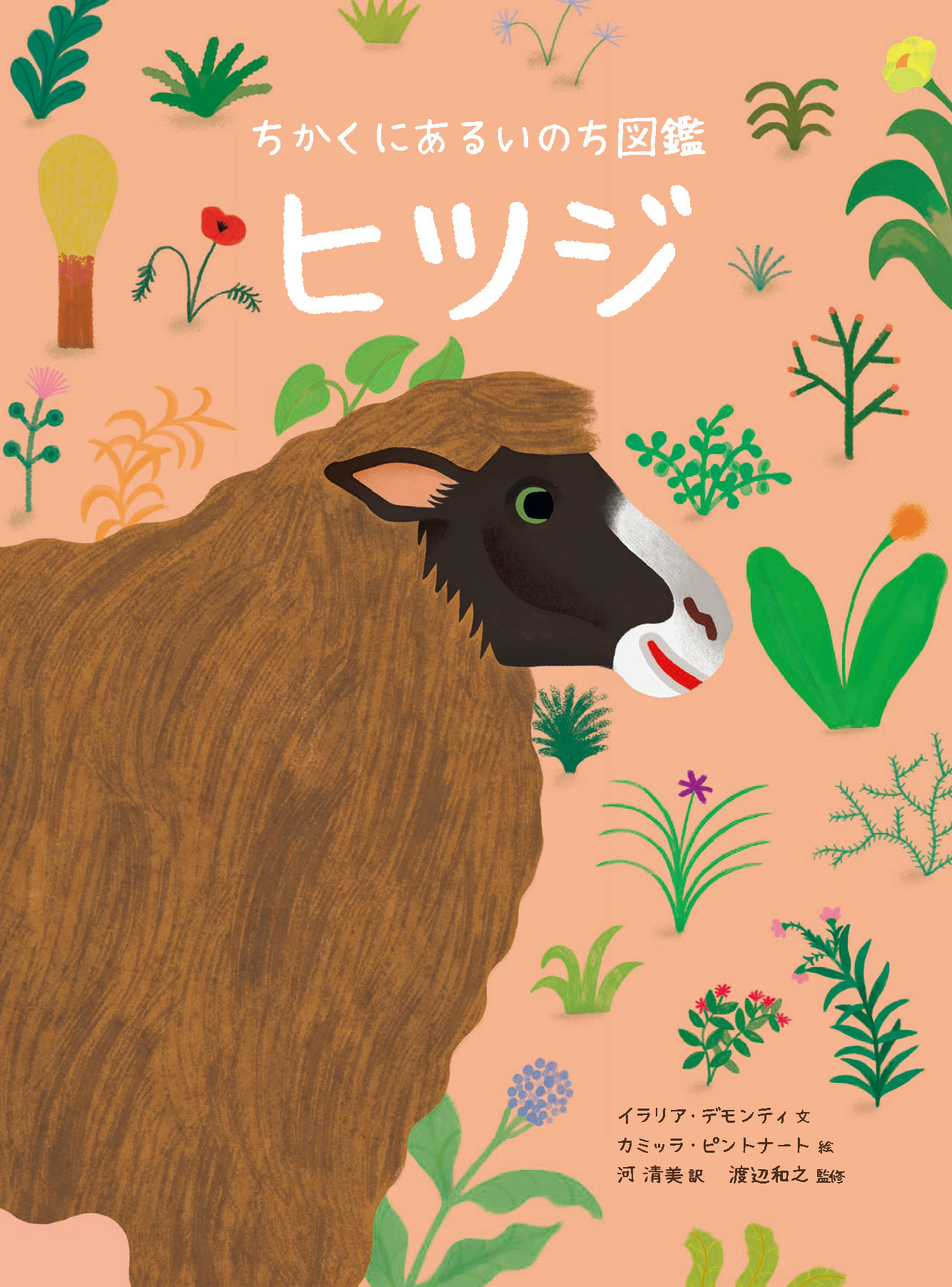 ちかくにあるいのち図鑑 ヒツジ - 株式会社 化学同人