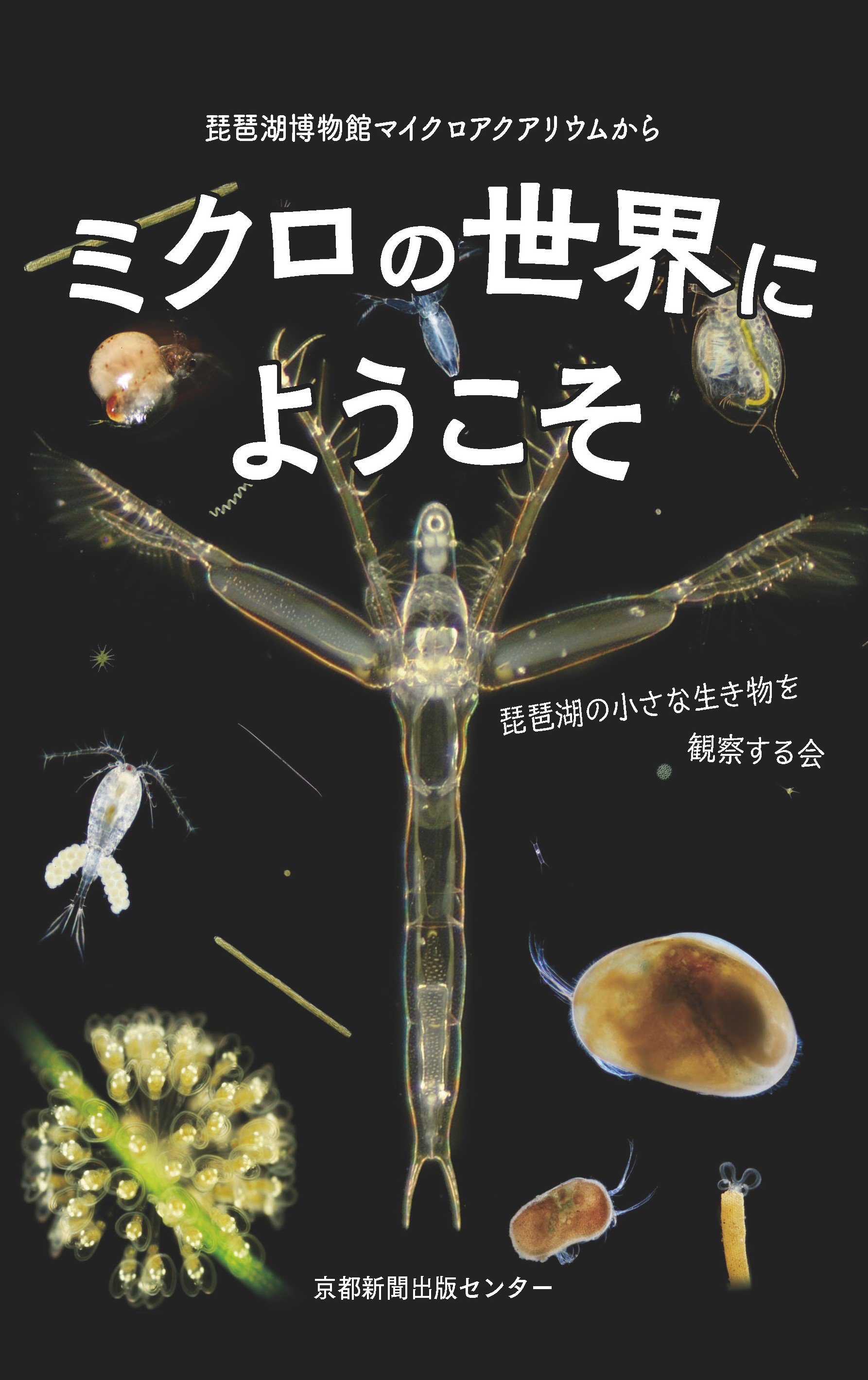 ミクロの世界にようこそ - 京都新聞出版センター