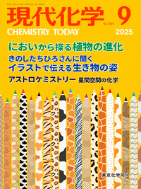 現代化学１９７３年９月１０月１２月号３冊セット レトロ 現代化学1973年9月10月12月号3冊セット レトロ
