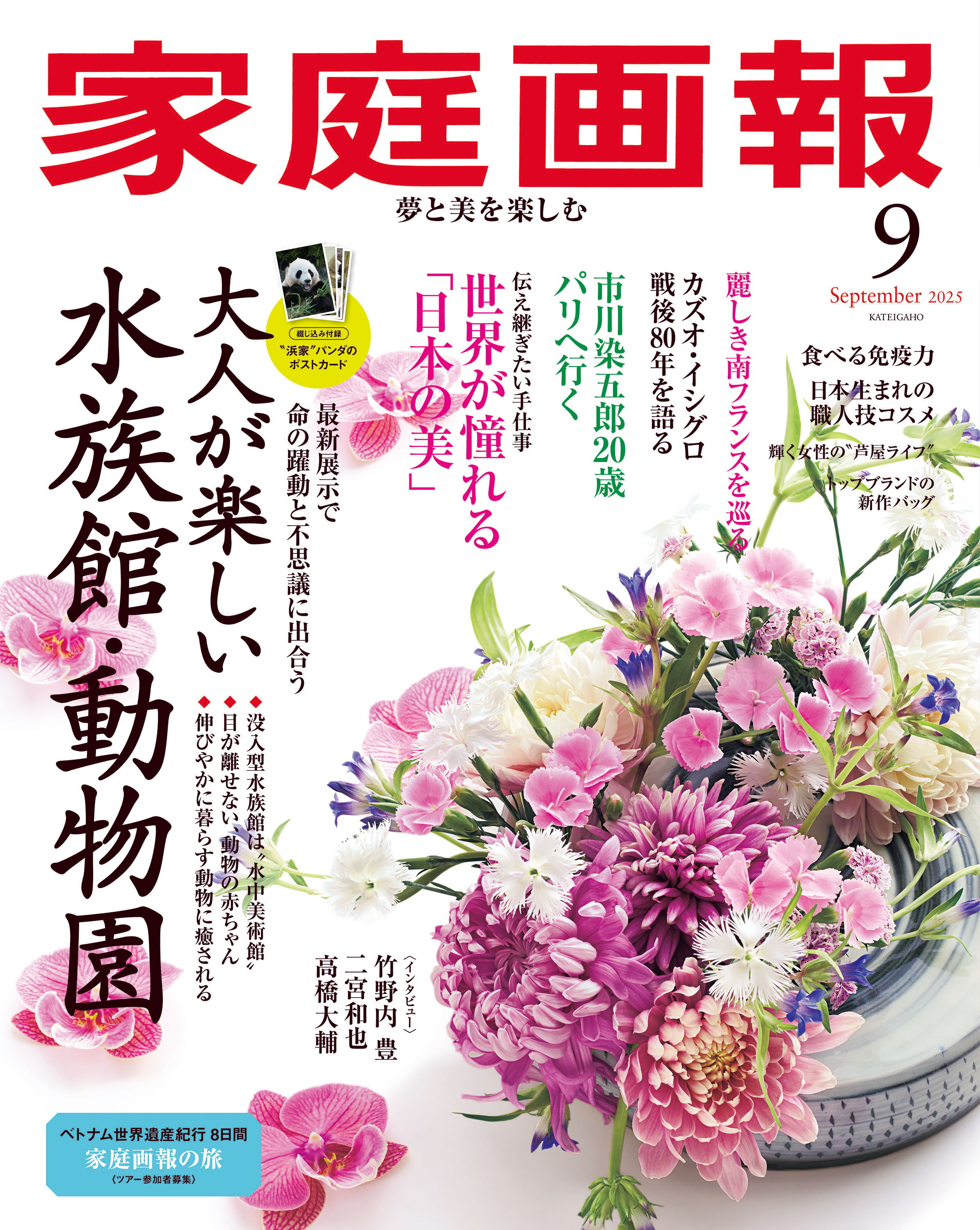 家庭画報編  決定版  お茶の心  世界文化社刊　全7巻セット 家庭画報編 決定版 お茶の心 世界文化社刊 全7巻セット