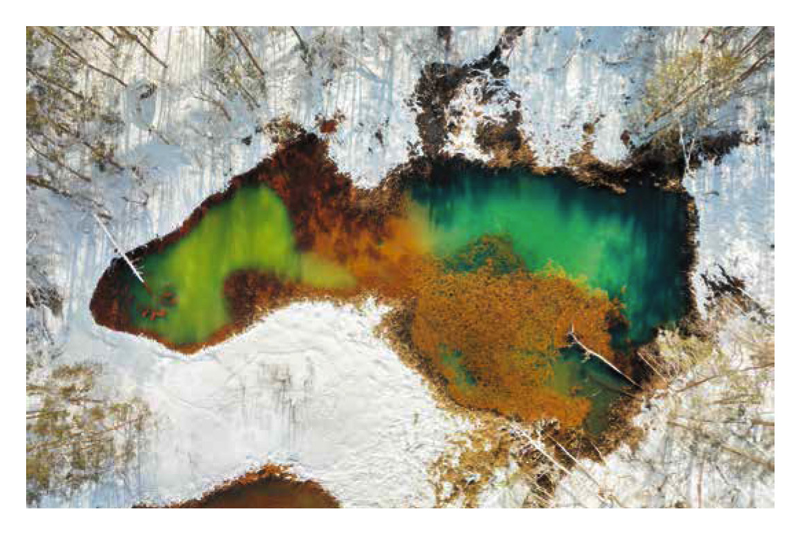 ポストカードブック「裏磐梯 五色沼湖沼群――日本の湖水地方」 - 株式