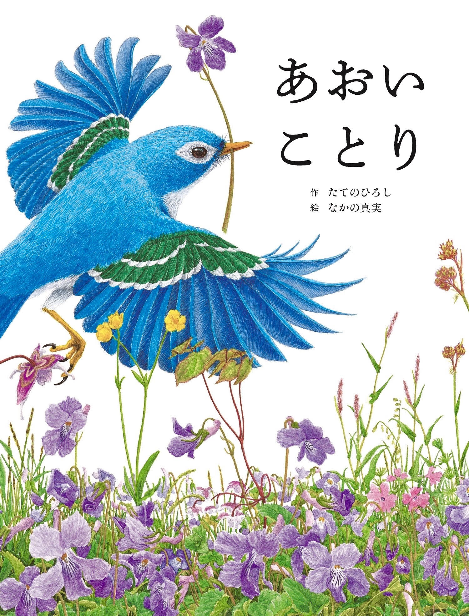 あおいことり - 世界文化社グループ