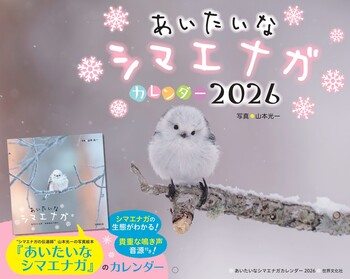 あいたいなシマエナガカレンダー2026 - 世界文化社グループ