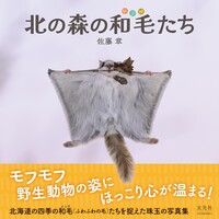 高橋伸哉写真集 堕花 - 株式会社玄光社