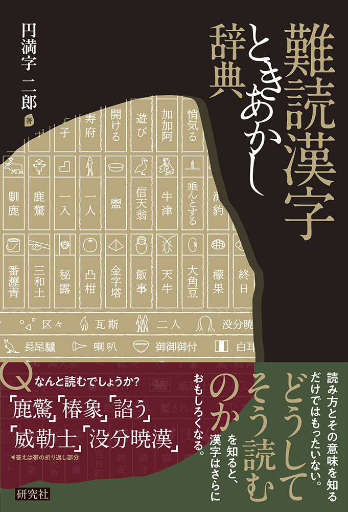 漢方用語大辞典（1463ページ見たところ書込なし(極美)　函に幾分しわ・傷・汚れ 漢方用語大辞典（1463ページ見たところ書込なし(極美) 函に