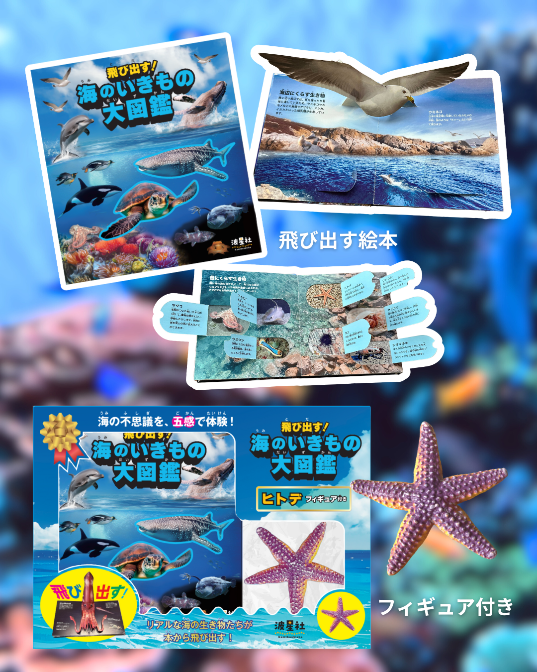 飛び出す！海のいきもの大図鑑 ヒトデフィギュア付き 【ISBN