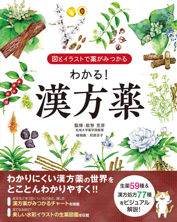 図とイラストで薬がみつかる わかる！漢方薬 - 自由国民社