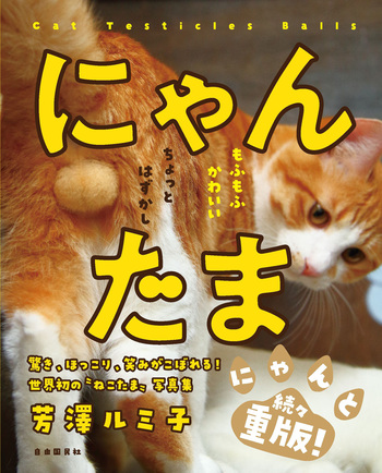 ねねにゃんさま専用 和合 かのん – ニャン友ねっとわーく北海道