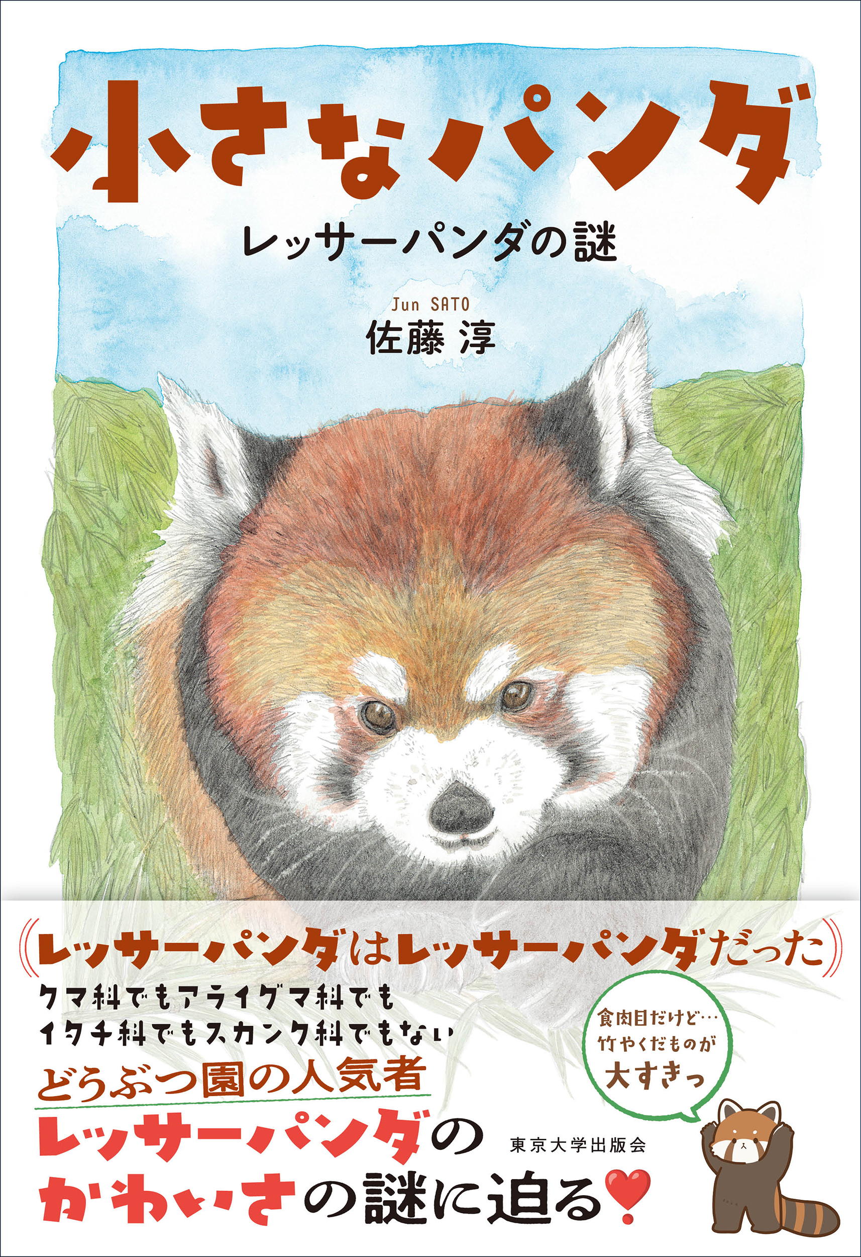 子供の作ったレッサーパンダの絵 小さなパンダ - 東京大学出版会