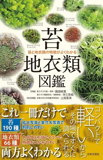 Roger Phillips ２冊セット 地衣 シダ コケ　イネ科　野草　図鑑 苔・地衣類図鑑 - 株式会社日本文芸社