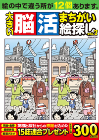 脳活まちがい絵探しVOL.12 - 株式会社英和出版社 パズル・PC実用・歴史