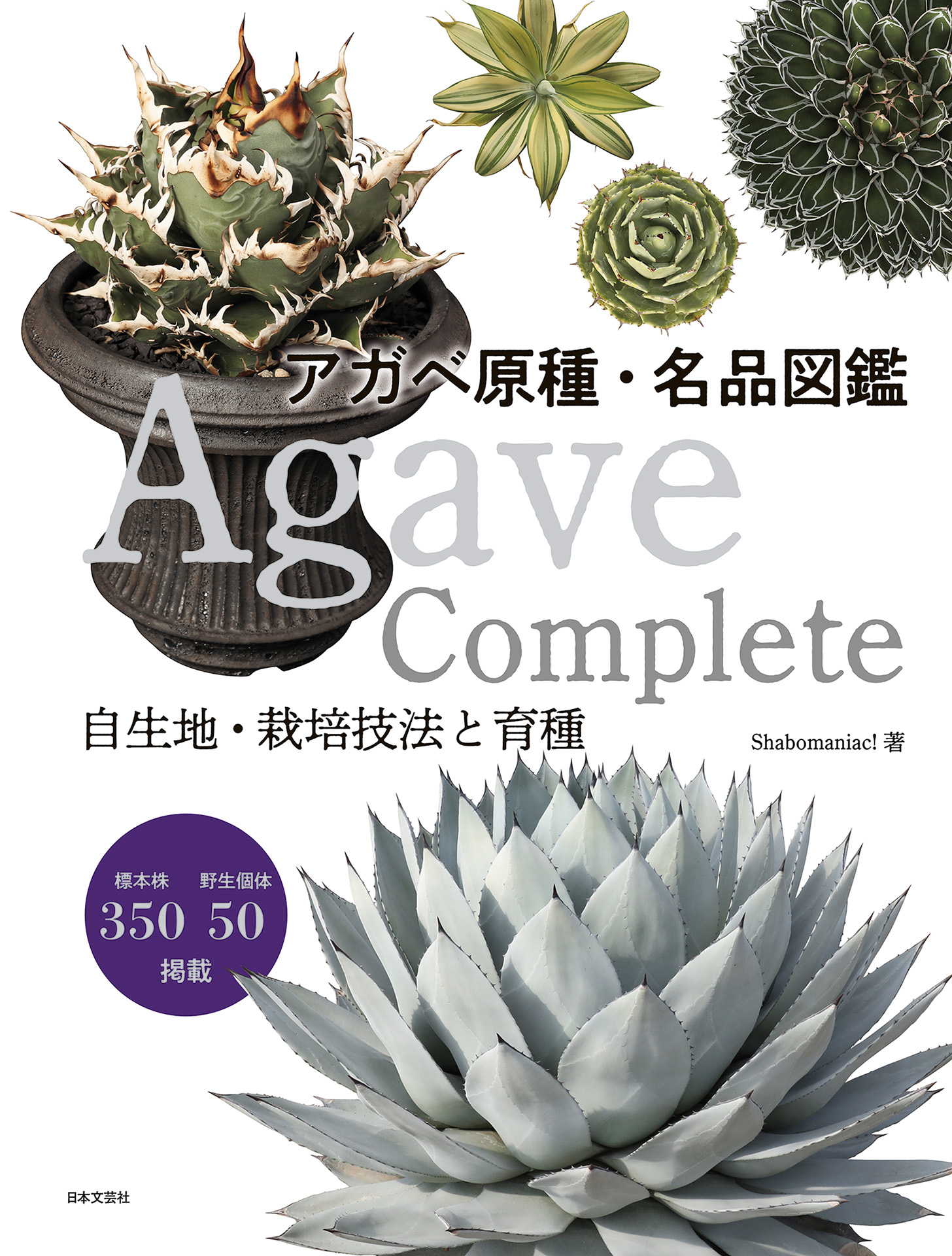 Agave Complete アガベ 原種・名品図鑑