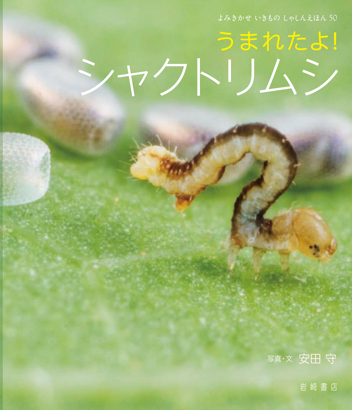 うまれたよ！シャクトリムシ - 株式会社岩崎書店 この1冊が未来をつくる