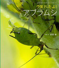 うまれたよ! シリーズ写真絵本セット5冊 うまれたよ! シリーズ写真絵本セット5冊