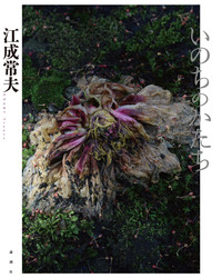 いのちのかたち - 論創社