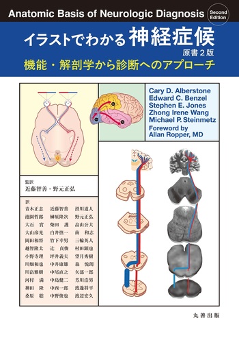 ネッター 医学図譜集 （III）【医学書 専門書 解剖学】丸善　医学本 ネッター 医学図譜集 （III）【医学書 専門書 解剖学】丸善 医学本