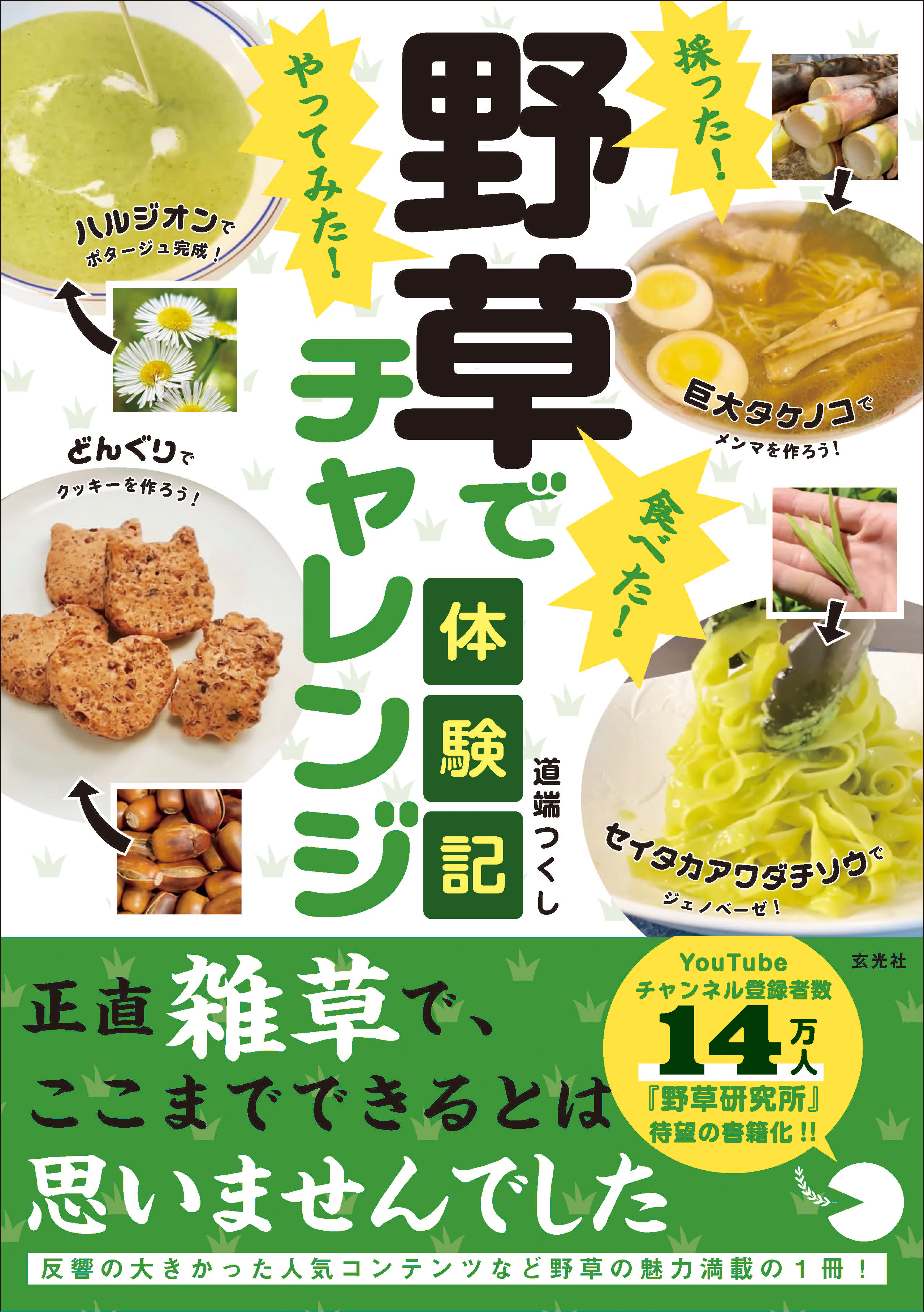 採った! 食べた! やってみた!野草でチャレンジ体験記