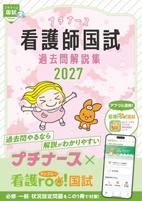 看護師国試2026 ここだけ覚える！ - 照林社