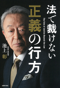 イメージ:法で裁けない正義の行方