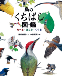 ひろった・あつめたぼくのドングリ図鑑 - 株式会社岩崎書店 この1冊が