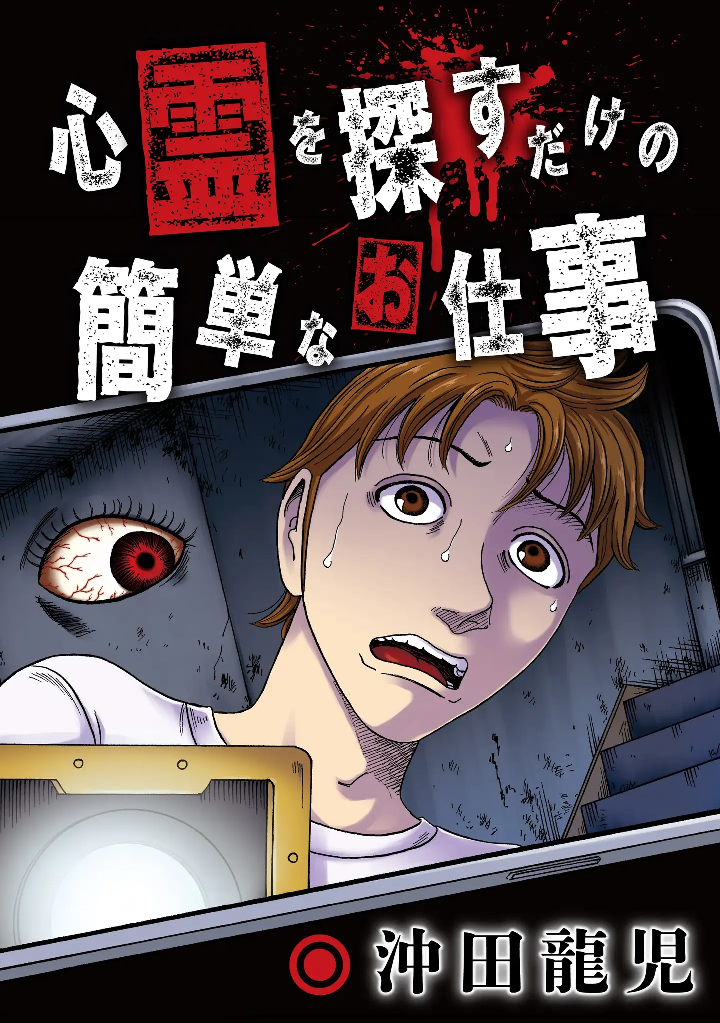 心霊を探すだけの簡単なお仕事【単話版】