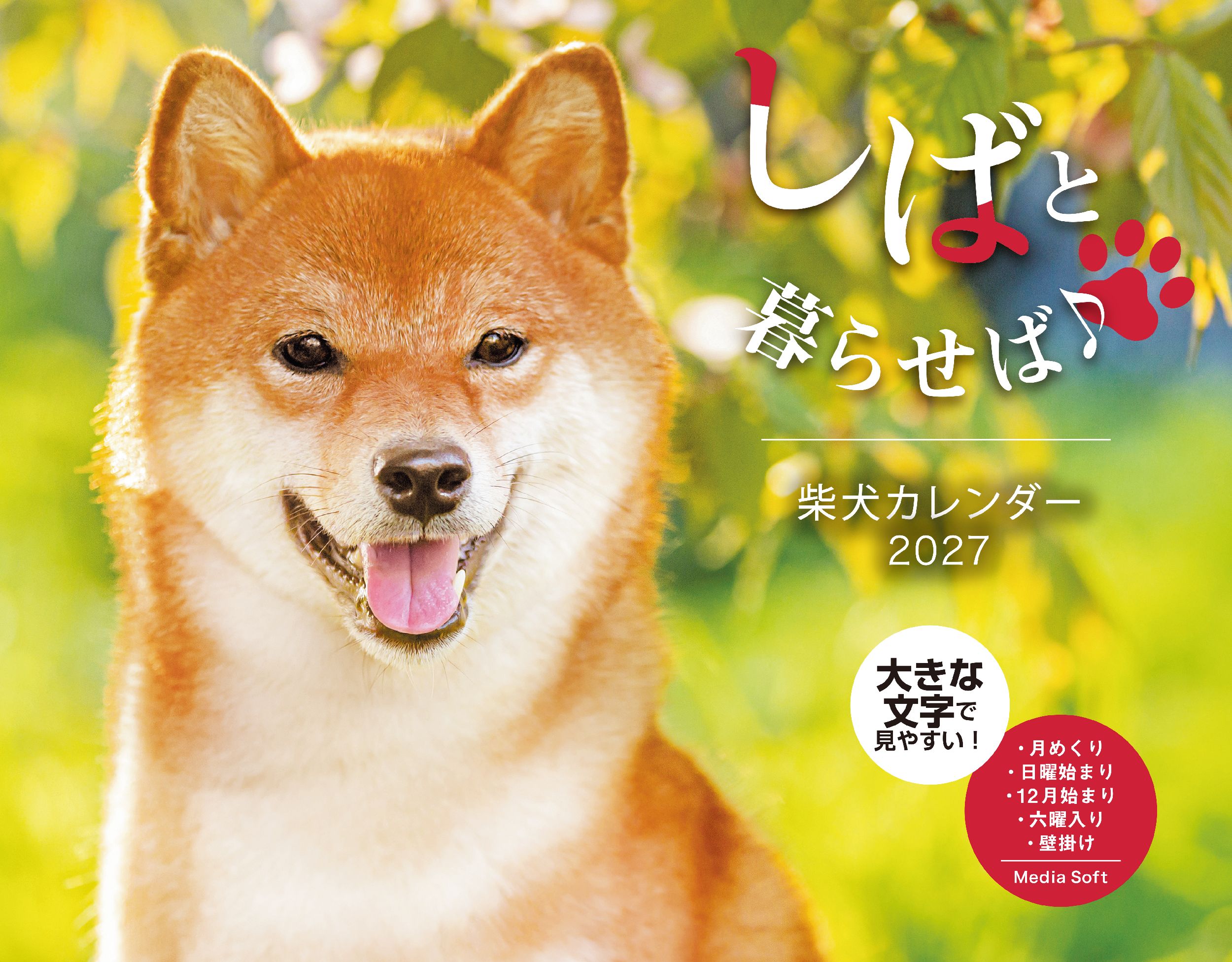 しばと暮らせば♪柴犬 カレンダー - 株式会社メディアソフト