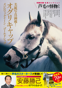 書籍検索 - 株式会社ガイドワークス
