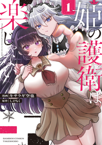姫の護衛は楽じゃない