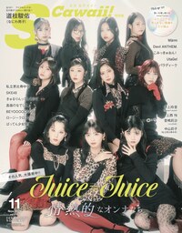 イメージ：S Cawaii!  2026年11月号増刊 特別版
