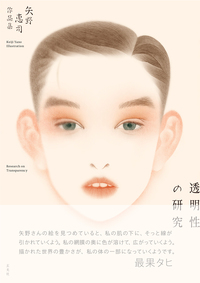 透明性の研究 矢野恵司作品集