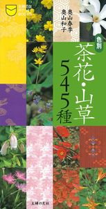 日本山草図譜 本草図譜 巻之廿七 蔓草類六」岩崎灌園 | 山田書店美術部オンラインストア