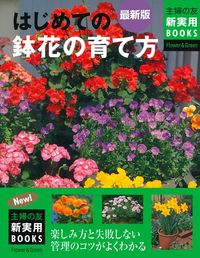 normal_facd7ae4-0466-4750-8101