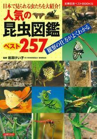 人気の昆虫図鑑ベスト257 - 株式会社 主婦の友社 主婦の友社の本