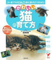 かわいい猫の育て方 - 株式会社 主婦の友社 主婦の友社の本