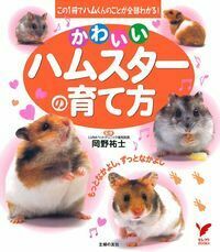 normal_be7b9769-0ba2-4946-8e85