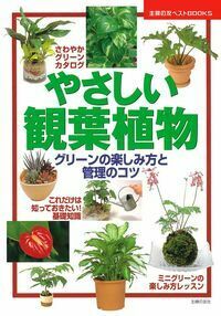やさしい観葉植物 - 株式会社 主婦の友社 主婦の友社の本