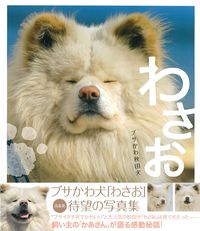 ブサかわ秋田犬 わさお - 株式会社 主婦の友社 主婦の友社の本