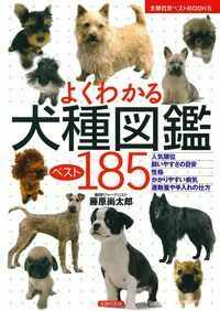 normal_34b3bb16-c5d3-4e0a-aa40