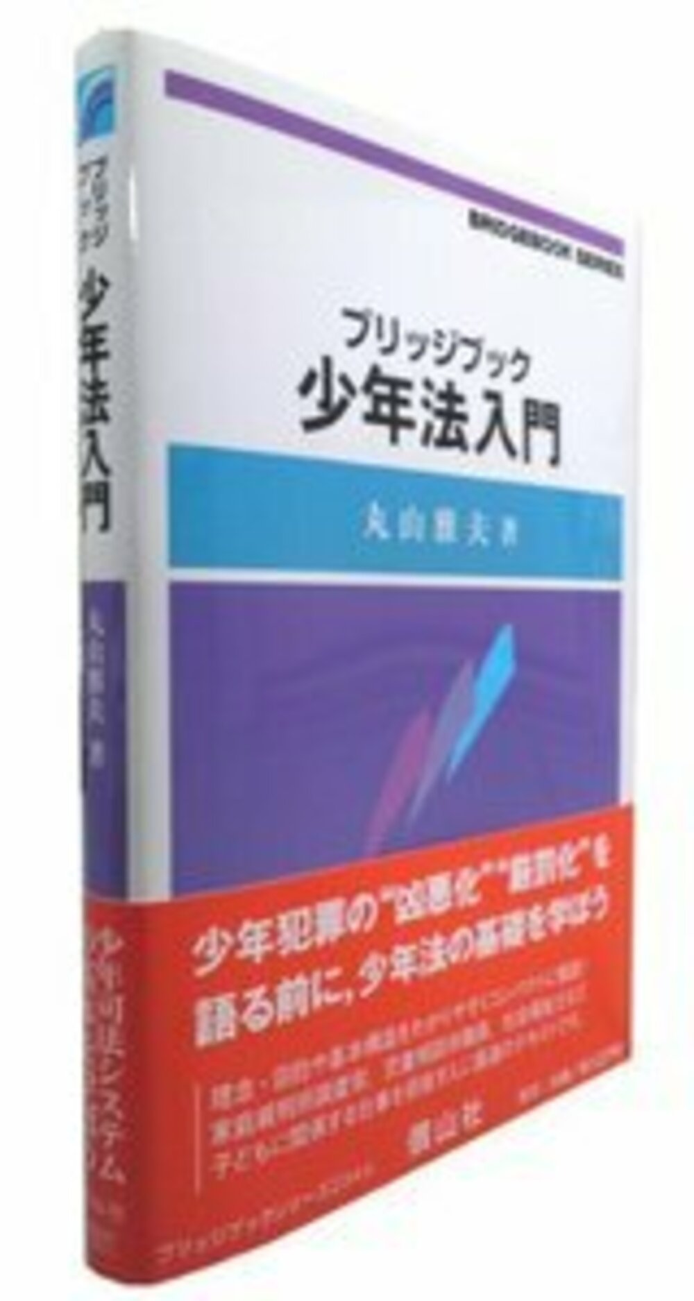 ブリッジブック少年法入門