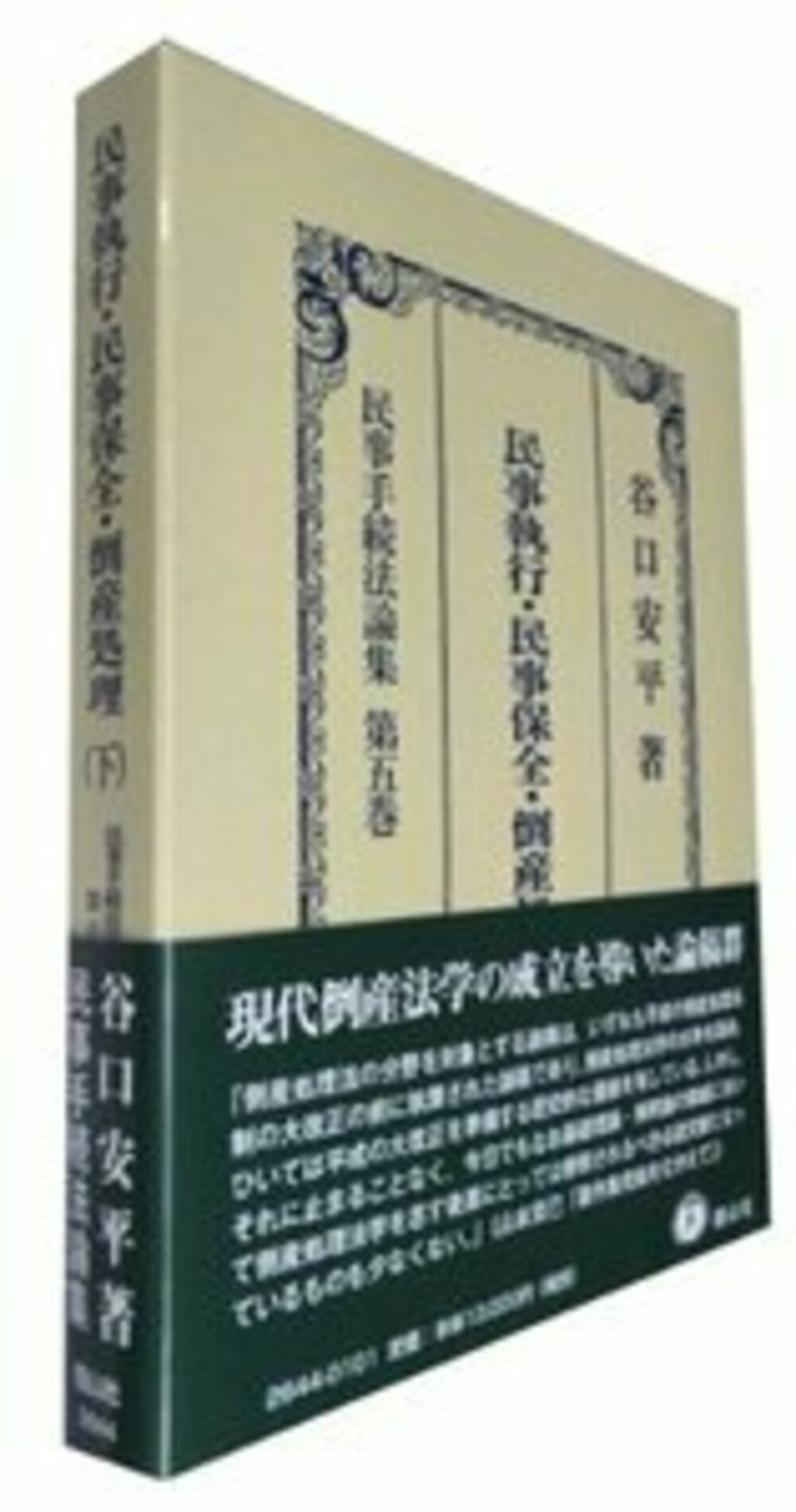 民事執行・民事保全・倒産処理 下