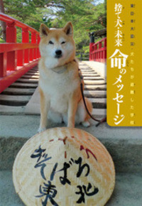 東日本大震災・犬たちが避難した学校 捨て犬・未来 命の