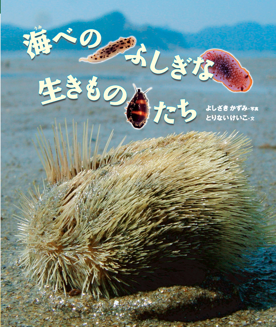 海べのふしぎな生きものたち - 株式会社岩崎書店 この1冊が未来をつくる