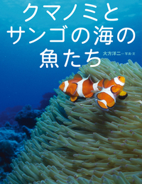 クマノミとサンゴの海の魚たち - 株式会社岩崎書店 この1冊が未来をつくる
