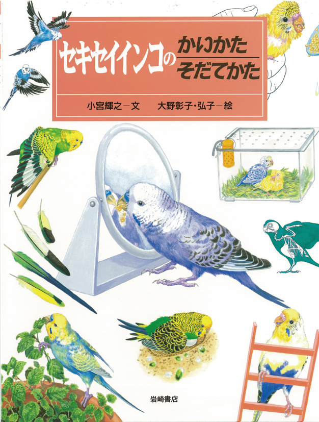 セキセイインコのかいかたそだてかた - 株式会社岩崎書店 この1冊が